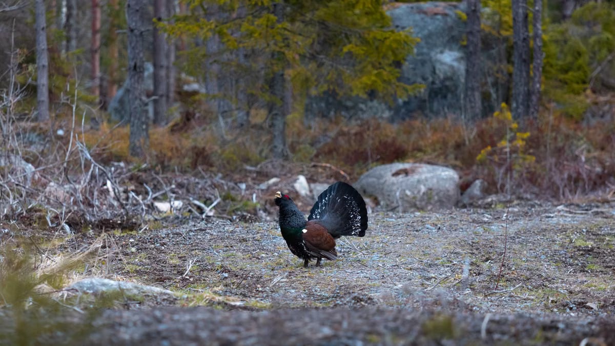 Kuidas alustada tervislikku eluviisi?